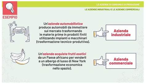 Videolezione - Le aziende di consumo e di produzione - YouTube