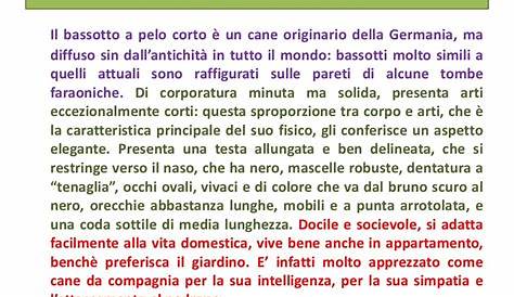 testo_descrittivo_persona.pdf