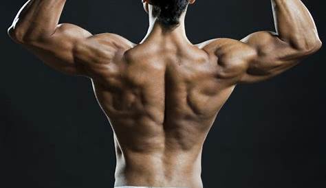 Guía Científica Para Entrenar La Espalda (Para Hombres Y Mujeres)