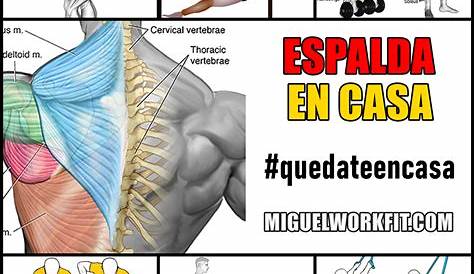 8 ejercicios de espalda en casa para una parte superior del cuerpo más