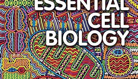 Essential Cell Biology 5th Edition Solution Pdf elizabethsidbookpdf