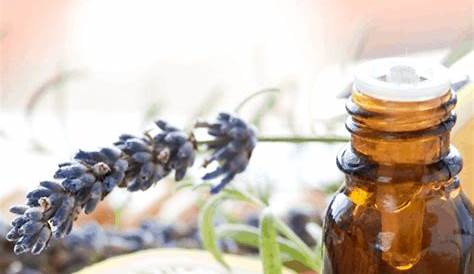 Essential Oils For Fresh Smelling Home Best Meraki Mother