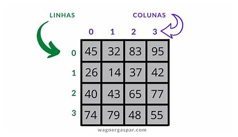 Estrutura De Dados Homogenea E Heterogenea - Várias Estruturas