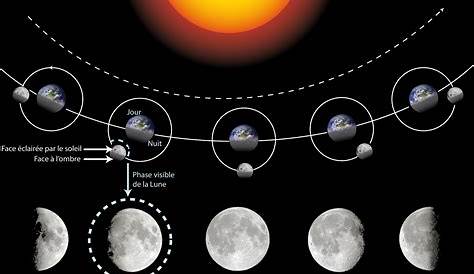 Le calendrier lunaire avec toutes les phases de la lune pendant le mois