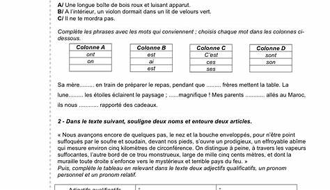 Evaluations français 1ère période CM2 | Evaluation cm2, Revision cm2, Cm2