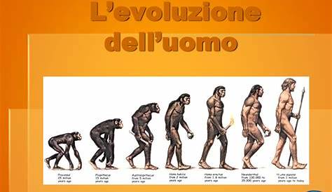 L'evoluzione dell'uomo - La Vita Scolastica