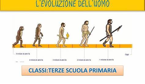 Classe terza primaria - Storia - L'evoluzione dell'uomo - YouTube