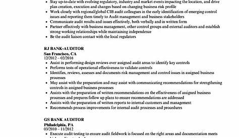 Professional Cv For Auditor : When listing skills on your bank auditor