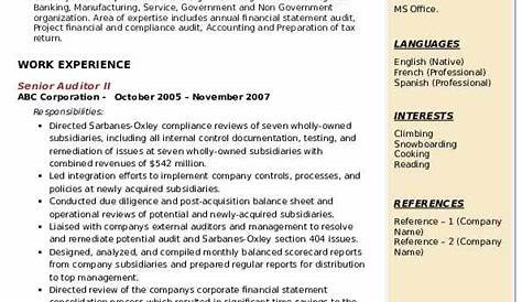 Government Auditor Resume Example for 2023 | Resume Worded