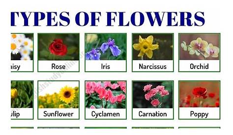Examples Of Flowering Plants With Names