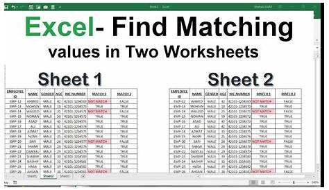 5 Ways to Find Matching Values in Two Worksheets in Excel