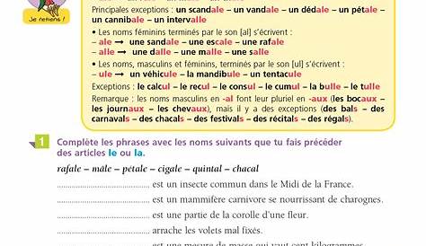 cm2: ORTHOGRAPHE-exercices, evaluation, traces écrites fiches i-profs