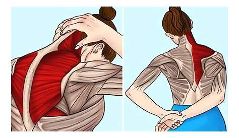 6 exercices pour éliminer les douleurs cervicales Dans cet article