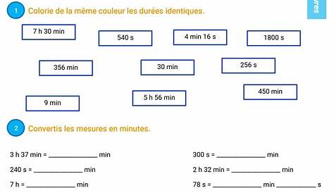 cm2: ORTHOGRAPHE-exercices, evaluation, traces écrites fiches i-profs