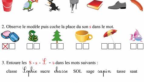 ce2: exercices la lettre S ORTHOGRAPHE