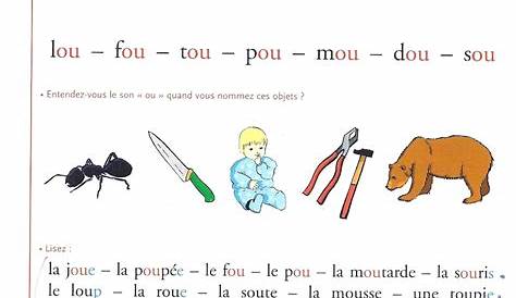 Atelier lire des phrases | French teaching resources, French education