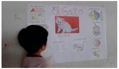 Lista 90+ Foto Características Exposicion Del Gato Para Niños De