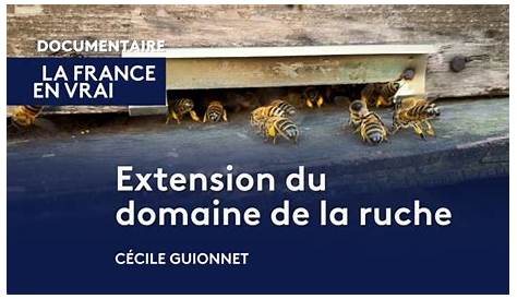 Extension du domaine de la ruche - Documentaire en replay