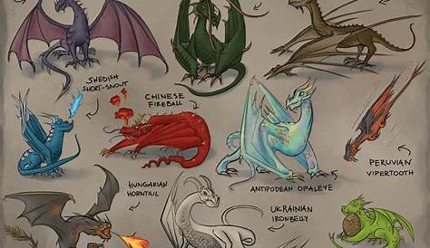 Every Single Dragon Species In The Harry Potter Universe