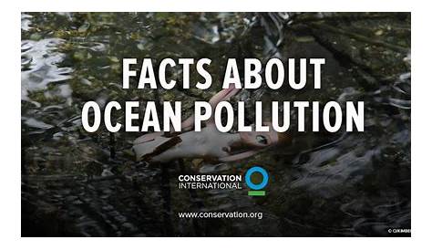 100+ Ocean Pollution Statistics & Facts (2020-2021)