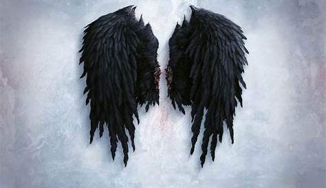 18 Fallen Angel Wing PSD Images - Angel Wings PSD, Black Angel Wings