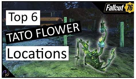 Fallout 76 Tato Flower Locations – FO76 Guides