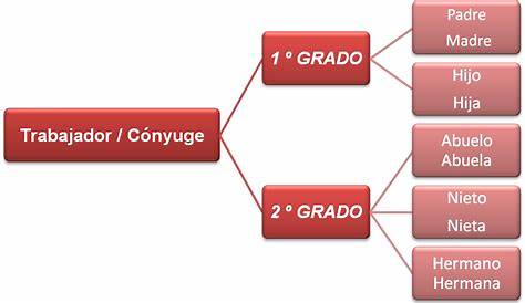 Mi Familia para Primer Grado de Primaria | Actividades Educativas – 2024