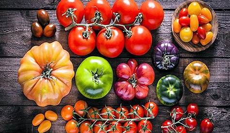 Un Collage De Différentes Variétés De Tomates Photo stock - Image du
