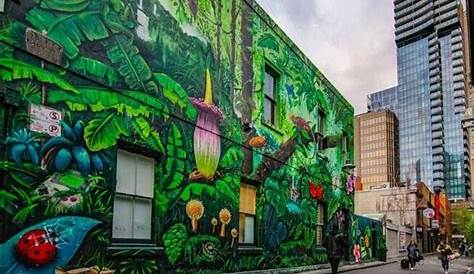 Top 10 Australian Street Artists | Graffiti Know How