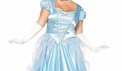 Women's Plus Size Fairy Queen Costume