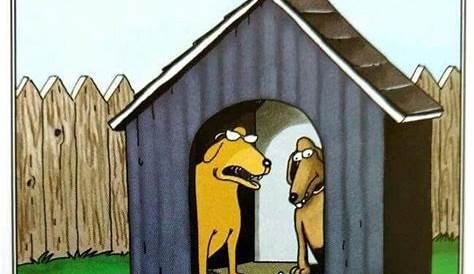 Image result for the far side dog | Far side comics, The far side, The