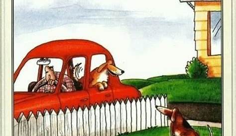 The Far Side | Dachshund cartoon, Funny dachshund, The far side