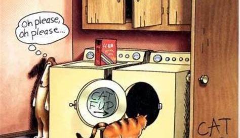 13 Comic Strips Featuring Cats by “The Far Side” | Far side cartoons