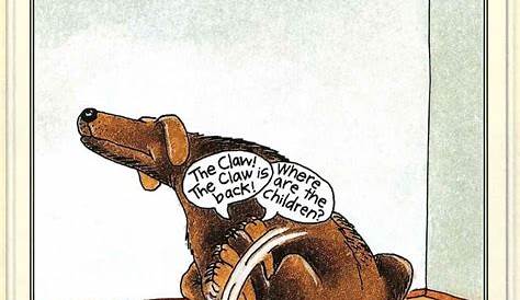 Pin by Peter Skinner on The Far Side | Cartoon jokes, Cartoon dog, Far