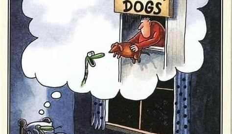 Gary Larson - The Far Side | Wiener dog humor, Dachshund cartoon