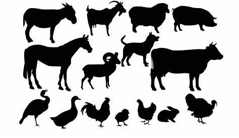 Farm Animal - Pig Silhouette Vector Logo Template Illustration Design