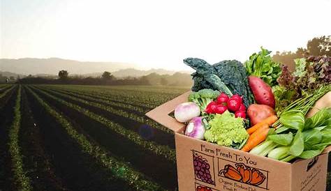 Farm Fresh Home Food Service Cost Delivery