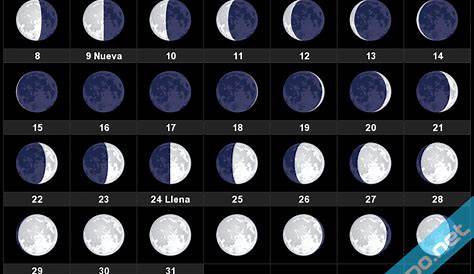 Calendario lunar de octubre en 2020 | Calendario lunar, Calendario, Lunares