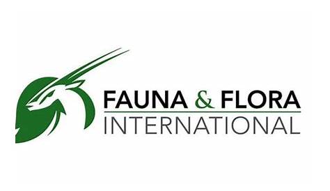 Fauna & Flora magazine Issue 6 by Fauna & Flora International - Issuu