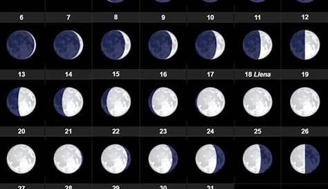 FECHAS DE LUNA LLENA 2019 | Moon date, Moon chart, New moon rituals