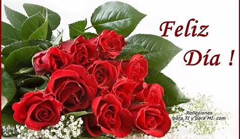 Buenos Deseos para TI y para MÍ: * Feliz Día! Botones de Rosas rosas y