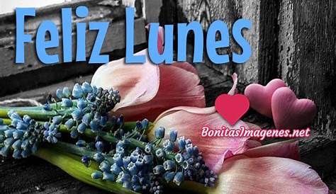 #FelizDia #FelizLunes Frases Feliz Lunes En Imagenes | Feliz lunes