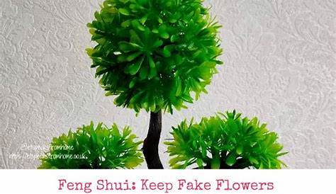 Are Fake Plants Bad Feng shui? - My Blog