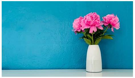 Feng Shui Says Your Home Needs These 6 Flowers: Here’s Why… | Sandia