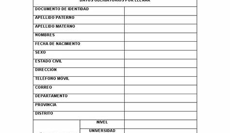 FICHA DE DATOS PARA REGISTRO DOCENTE 2009