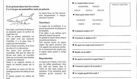 Textes De Lecture Questions De Compréhension Cm2 Pdf - Exemple de Texte