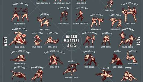 Mixed Martial Arts: A Style Guide (dark color) | Best martial arts