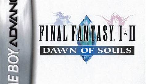 Nathan DiYorio's Blog: Final Fantasy I & II: Dawn of Souls (GBA) DS Insert