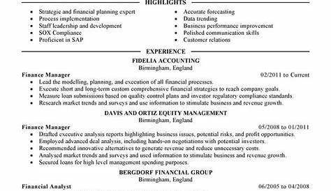 Finance Resume Skills / Financial Controller Resume Template Premium