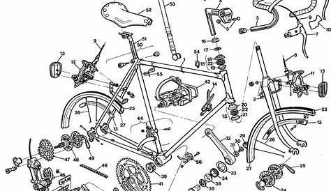 Find Raleigh's Schematics